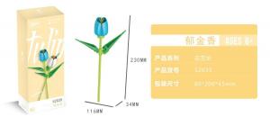 Tulpe