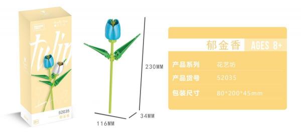 Tulpe