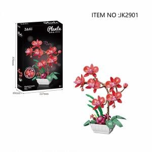 Phalaenopsis - Orchid red