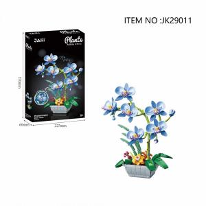 Phalaenopsis - Orchidee blau