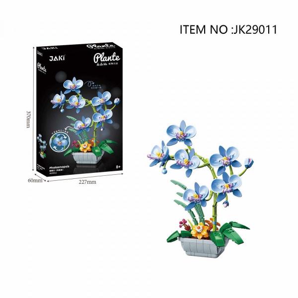 Phalaenopsis - Orchid blue