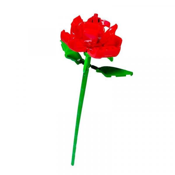 Rote Rose