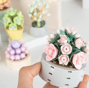 Succulent
