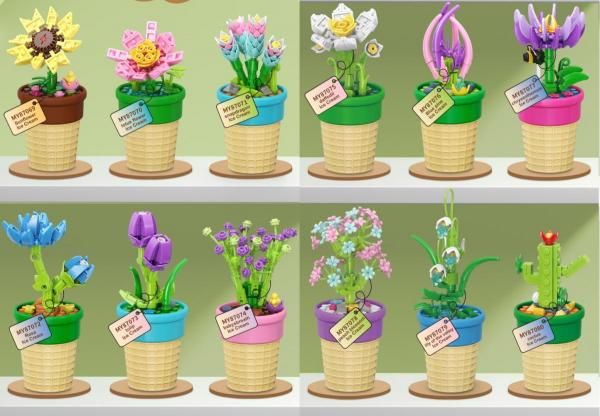 Bundle with 12 different plants