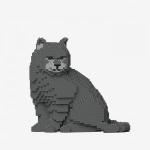 Britisch-Kurzhaar-Katze 
