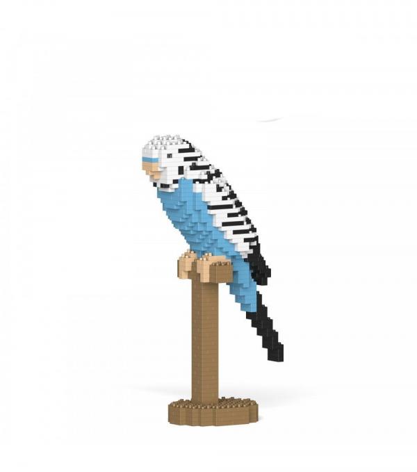 Budgie blue