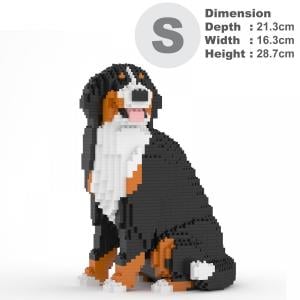 Bernese Mountain Dog 