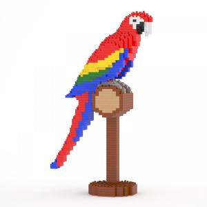 Scarlet Macaw 