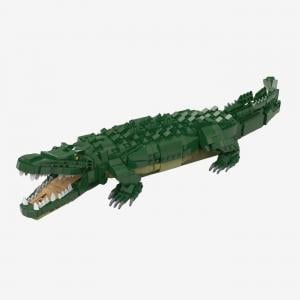 Crocodile