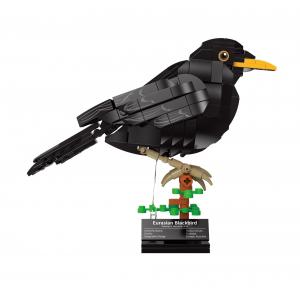 Amsel