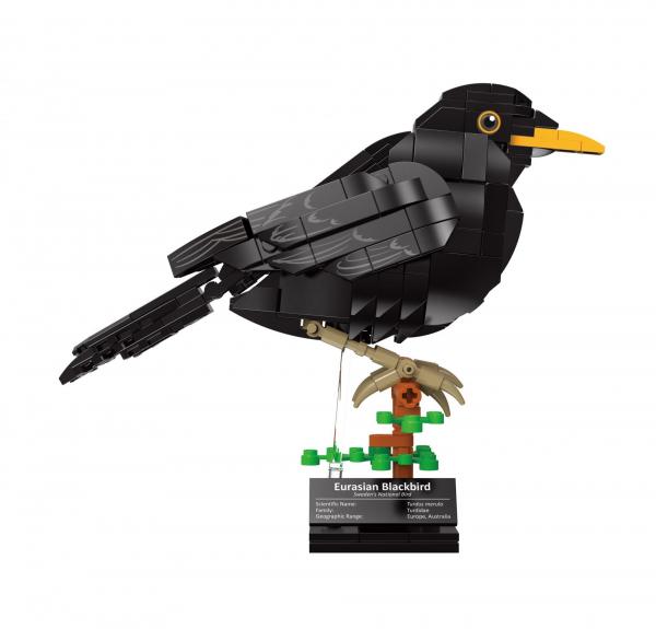 Amsel