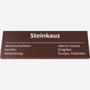 Steinkauz
