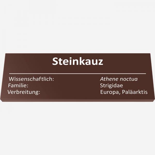 Steinkauz