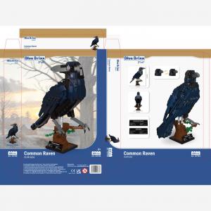 Common raven