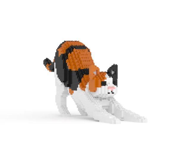 Cat Calico + streching