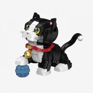 Little black cat