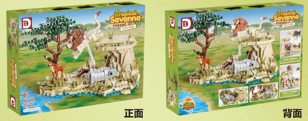 Tropical Savanna: The african savanna