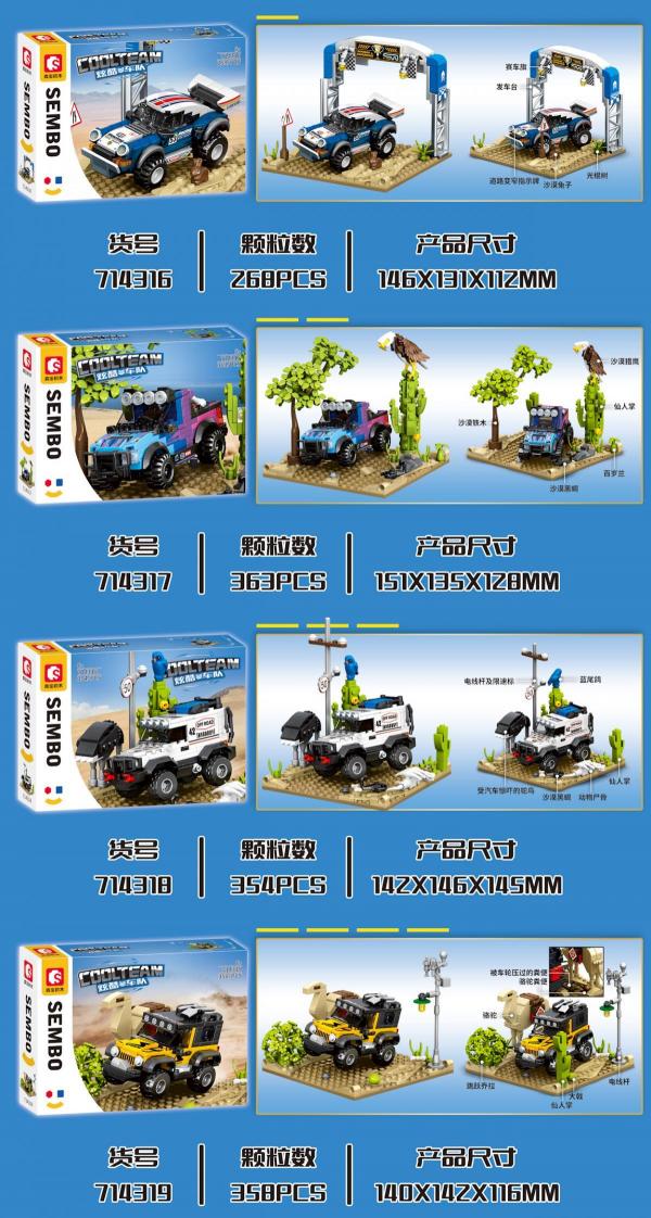 Wüstenrally (Displaybox mit 4 kleinen Sets)