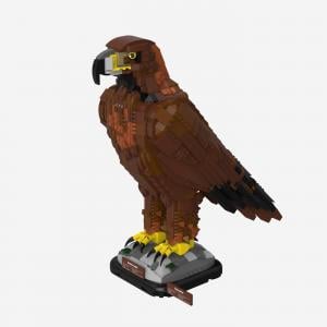 Golden Eagle