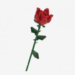 Rote Rose