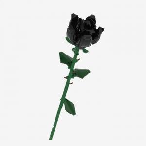 Schwarze Rose