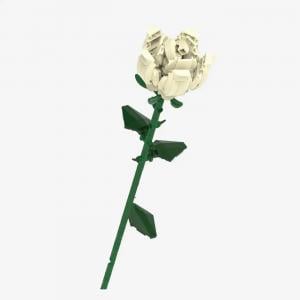 White Rose