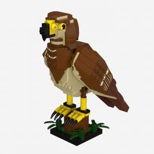 Common Buzzard