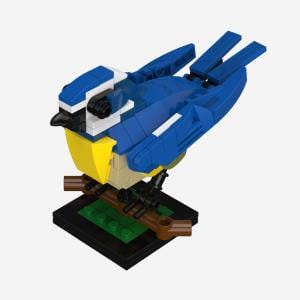 Eurasian Blue Tit