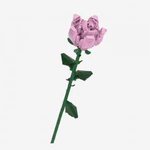 Pinke Rose