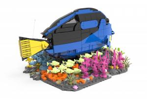 Pallet Surgeonfish 
