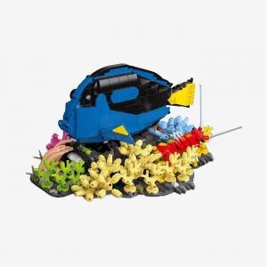 Pallet Surgeonfish 