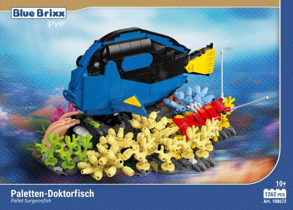 Pallet Surgeonfish 