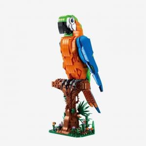 Blue-and-yellow macaw