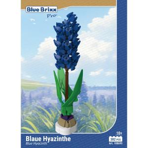 Blue Hyacinth 