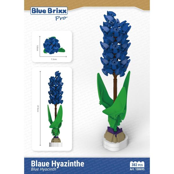 Blue Hyacinth 