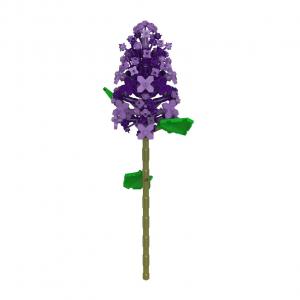 Purple Lilac 