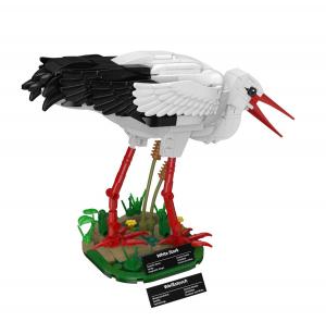 White Stork