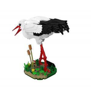 White Stork