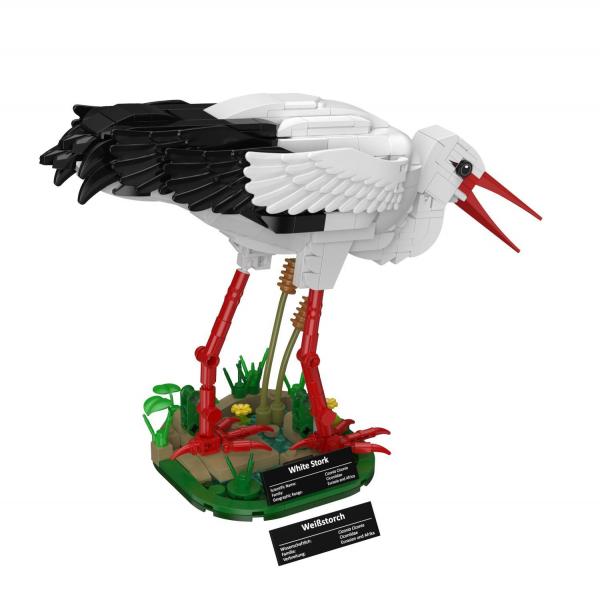 White Stork