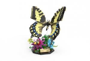 Swallowtail