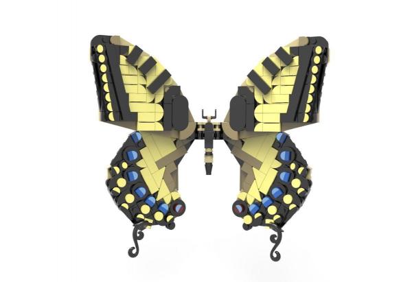 Swallowtail