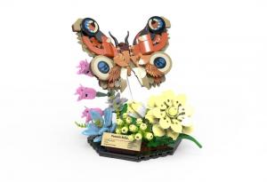 peacock butterfly