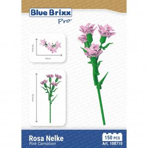 Pink Carnation 
