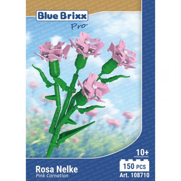Pink Carnation 