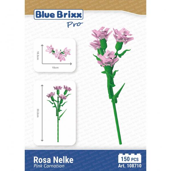 Pink Carnation 