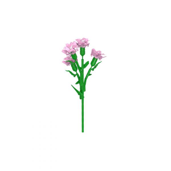 Pink Carnation 