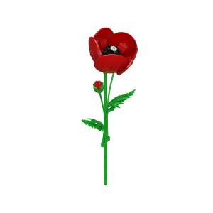 Red Common Poppy 