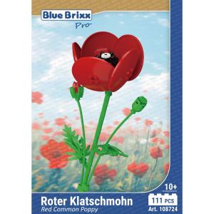 Red Common Poppy 