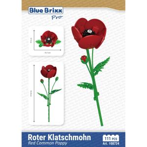 Red Common Poppy 
