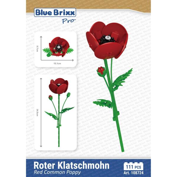 Red Common Poppy 